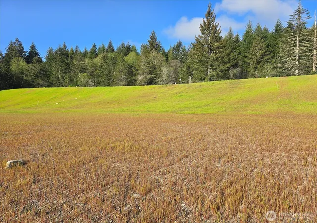 Photo 1 of Land for sale at 51 E Virgil Dr W, Allyn, WA 98524 | MLS# NWM2513716 | Listing updated on 2026-09-21