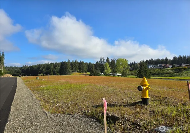 Photo 1 of Land for sale at 0 E Donbob Ln, Allyn, WA 98524 | MLS# NWM2513722 | Listing updated on 2026-09-21