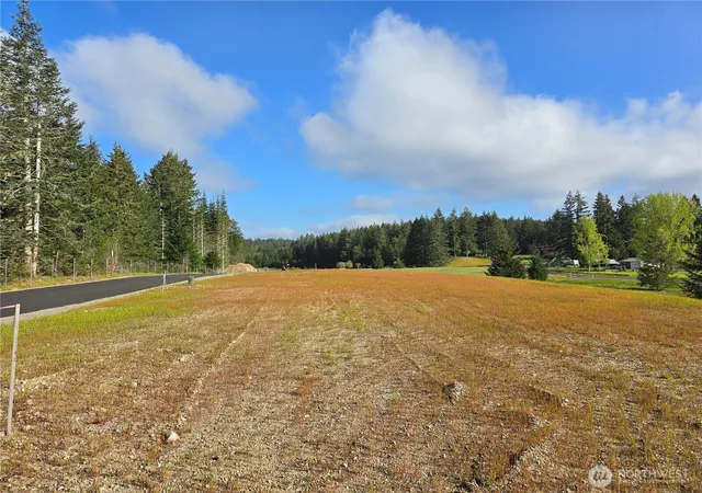 Photo 2 of Land for sale at 0 E Donbob Ln, Allyn, WA 98524 | MLS# NWM2513722 | Listing updated on 2026-09-21