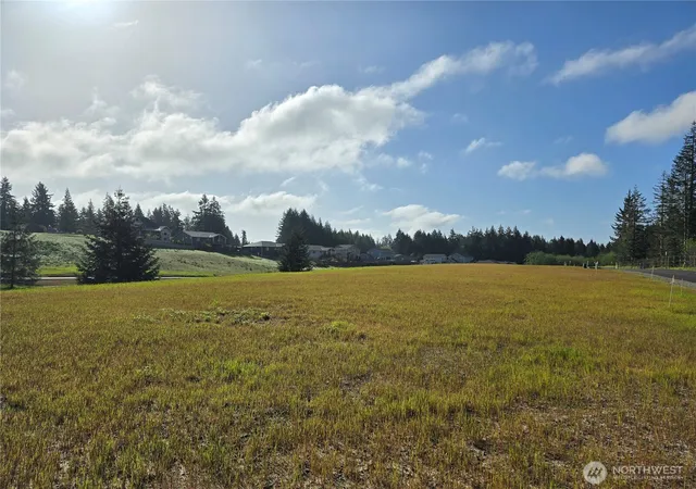 Photo 4 of Land for sale at 0 E Donbob Ln, Allyn, WA 98524 | MLS# NWM2513722 | Listing updated on 2026-09-21