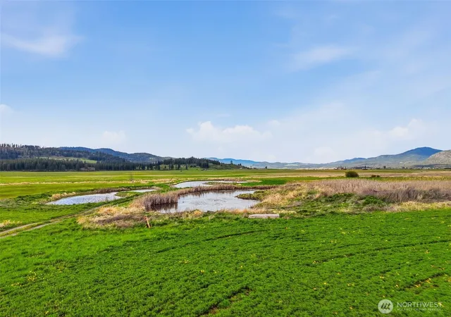Photo 4 of Land for sale at 27 Xx Newton Rd, Chewelah, WA 99109 | MLS# NWM2513853 | Listing updated on 2026-09-21
