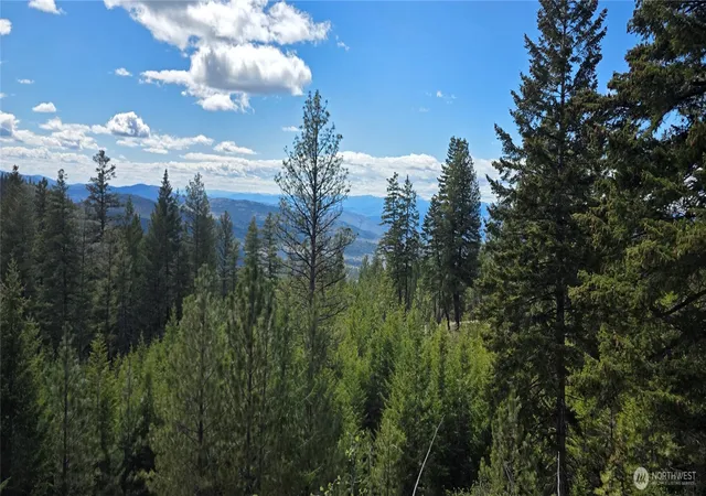 Photo 1 of Land for sale at 1112 Tbd Bandtman Crk Rd, Tonasket, WA 98855 | MLS# NWM2513861 | Listing updated on 2026-09-21