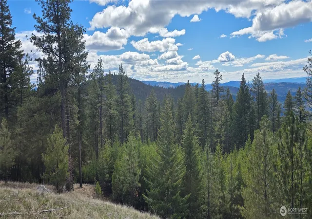 Photo 2 of Land for sale at 1112 Tbd Bandtman Crk Rd, Tonasket, WA 98855 | MLS# NWM2513861 | Listing updated on 2026-09-21