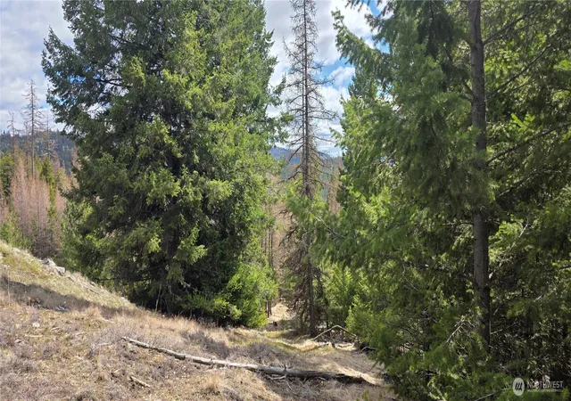 Photo 3 of Land for sale at 1112 Tbd Bandtman Crk Rd, Tonasket, WA 98855 | MLS# NWM2513861 | Listing updated on 2026-09-21