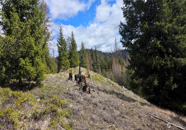 Photo 3 of Land for sale at 1112 Tbd Bandtman Crk Rd, Tonasket, WA 98855 | MLS# NWM2513861 | Listing updated on 2026-09-21