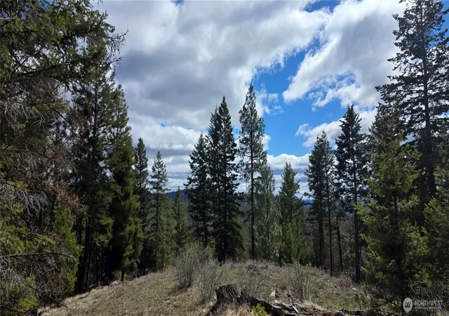 Photo 4 of Land for sale at 1112 Tbd Bandtman Crk Rd, Tonasket, WA 98855 | MLS# NWM2513861 | Listing updated on 2026-09-21