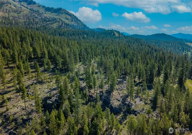 Photo 4 of Land for sale at 0 Tbd Mineral Hl Rd, Conconully, WA 98819 | MLS# NWM2513990 | Listing updated on 2026-09-21