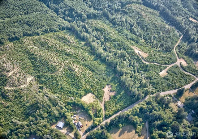 Photo 3 of Land for sale at 0 Tract 4 S Valley Rd, Naselle, WA 98638 | MLS# NWM2514033 | Listing updated on 2026-09-21