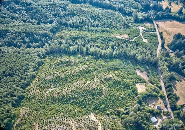 Photo 4 of Land for sale at 0 Tract 4 S Valley Rd, Naselle, WA 98638 | MLS# NWM2514033 | Listing updated on 2026-09-21