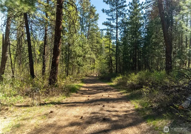 Photo 3 of Land for sale at 19 Stagecoach Rd, Carlton, WA 98814 | MLS# NWM2514123 | Listing updated on 2026-09-24