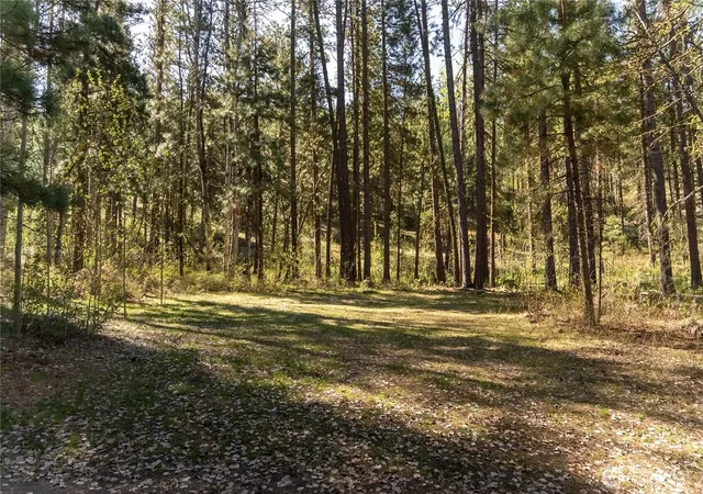 Photo 3 of Land for sale at 19 Stagecoach Rd, Carlton, WA 98814 | MLS# NWM2514123 | Listing updated on 2026-09-24