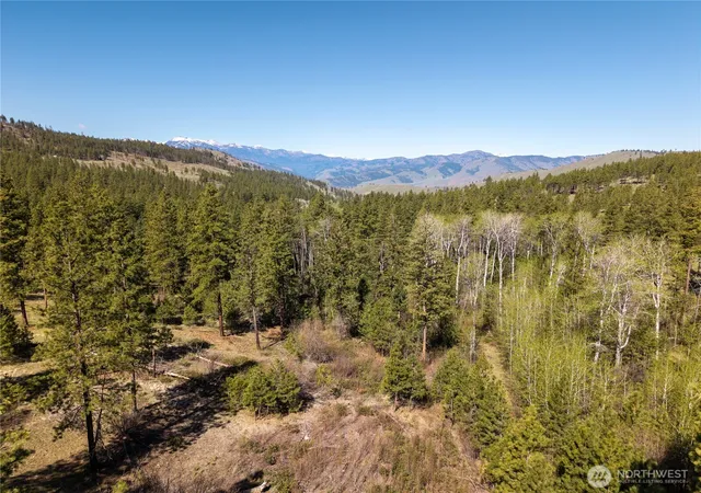 Photo 1 of Land for sale at 19 Stagecoach Rd, Carlton, WA 98814 | MLS# NWM2514123 | Listing updated on 2026-09-24
