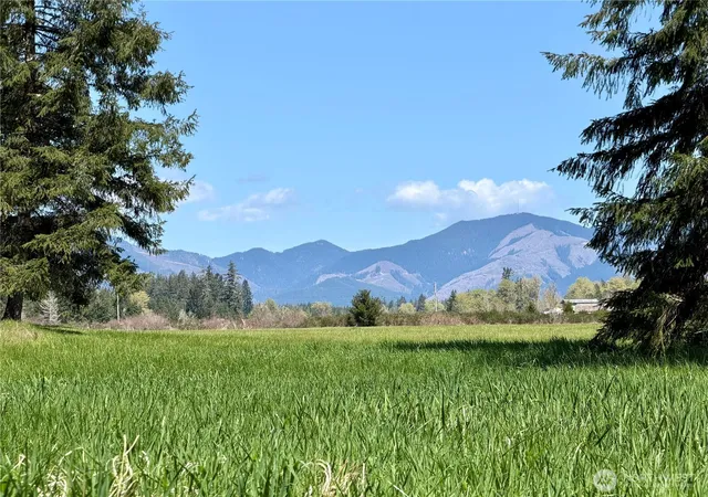 Photo 1 of Land for sale at 0 W Xxx Forest Green Ln, Elma, WA 98541 | MLS# NWM2514173 | Listing updated on 2026-09-21