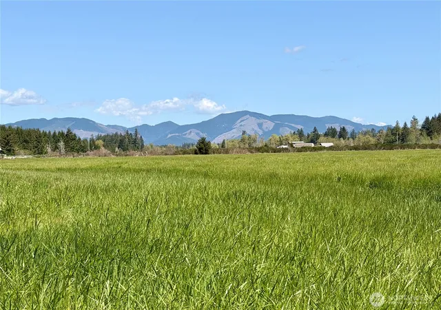 Photo 2 of Land for sale at 0 W Xxx Forest Green Ln, Elma, WA 98541 | MLS# NWM2514173 | Listing updated on 2026-09-21