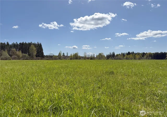 Photo 3 of Land for sale at 0 W Xxx Forest Green Ln, Elma, WA 98541 | MLS# NWM2514173 | Listing updated on 2026-09-21