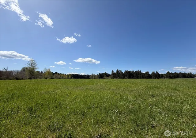 Photo 4 of Land for sale at 0 W Xxx Forest Green Ln, Elma, WA 98541 | MLS# NWM2514173 | Listing updated on 2026-09-21