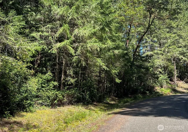 Photo 1 of Land for sale at 10919 Suncrest Dr, Anderson Island, WA 98303 | MLS# NWM2514198 | Listing updated on 2026-09-21