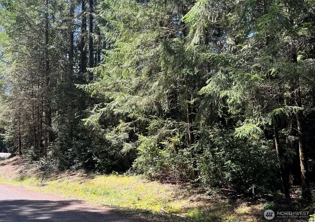 Photo 2 of Land for sale at 10919 Suncrest Dr, Anderson Island, WA 98303 | MLS# NWM2514198 | Listing updated on 2026-09-21