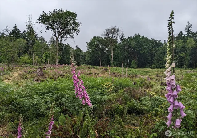 Photo 1 of Land for sale at 681 E Jared Rd, Shelton, WA 98584 | MLS# NWM2514359 | Listing updated on 2026-09-21