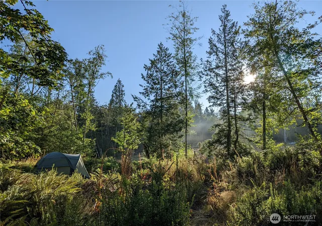 Photo 3 of Land for sale at 681 E Jared Rd, Shelton, WA 98584 | MLS# NWM2514359 | Listing updated on 2026-09-21