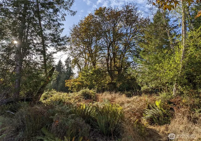 Photo 4 of Land for sale at 681 E Jared Rd, Shelton, WA 98584 | MLS# NWM2514359 | Listing updated on 2026-09-21