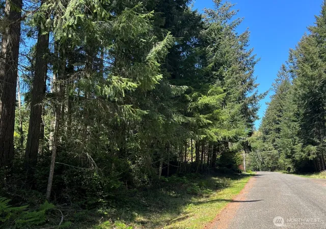 Photo 1 of Land for sale at 10312 Paine Rd, Anderson Island, WA 98303 | MLS# NWM2514377 | Listing updated on 2026-09-21