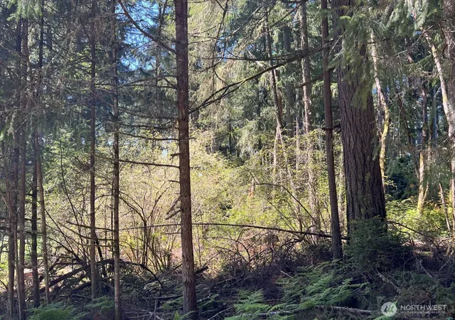 Photo 2 of Land for sale at 10312 Paine Rd, Anderson Island, WA 98303 | MLS# NWM2514377 | Listing updated on 2026-09-21