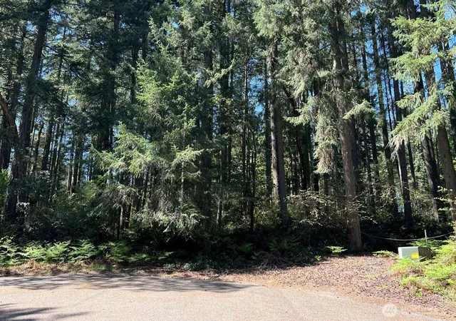 Photo 1 of Land for sale at 11410 103rd Street, Anderson Island, WA 98303 | MLS# NWM2514396 | Listing updated on 2026-09-21