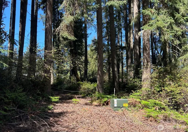 Photo 2 of Land for sale at 11410 103rd Street, Anderson Island, WA 98303 | MLS# NWM2514396 | Listing updated on 2026-09-21