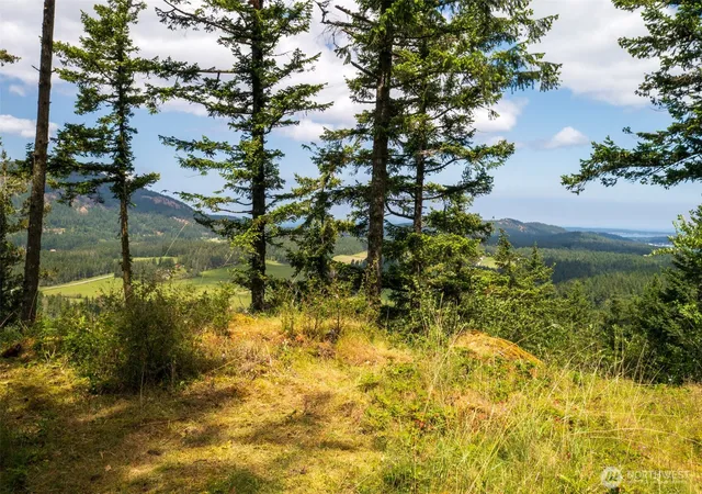 Photo 1 of Land for sale at 1700 Mountain Crst, Eastsound, WA 98245 | MLS# NWM2514622 | Listing updated on 2026-09-21