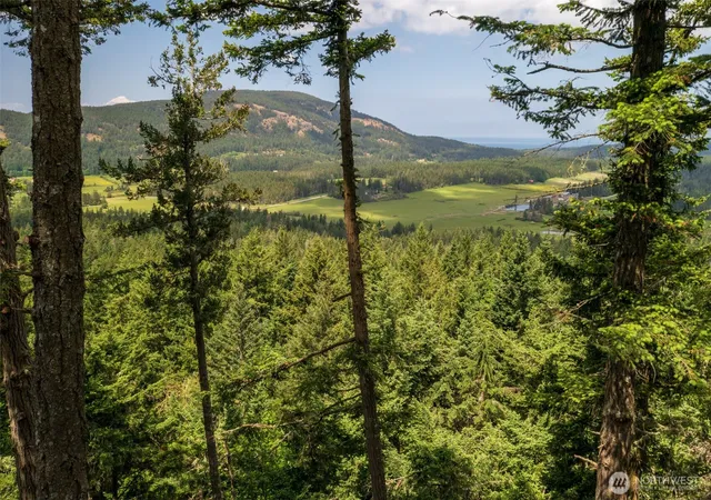Photo 3 of Land for sale at 1700 Mountain Crst, Eastsound, WA 98245 | MLS# NWM2514622 | Listing updated on 2026-09-21