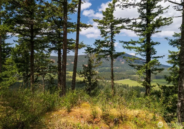 Photo 3 of Land for sale at 1700 Mountain Crst, Eastsound, WA 98245 | MLS# NWM2514622 | Listing updated on 2026-09-21