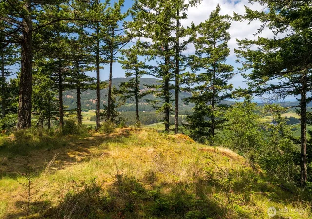 Photo 4 of Land for sale at 1700 Mountain Crst, Eastsound, WA 98245 | MLS# NWM2514622 | Listing updated on 2026-09-21