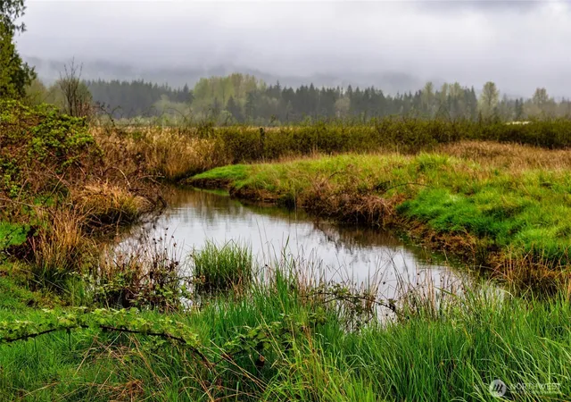 Photo 2 of Land for sale at 30 Belle Ln, Mc Cleary, WA 98557 | MLS# NWM2514648 | Listing updated on 2026-09-21
