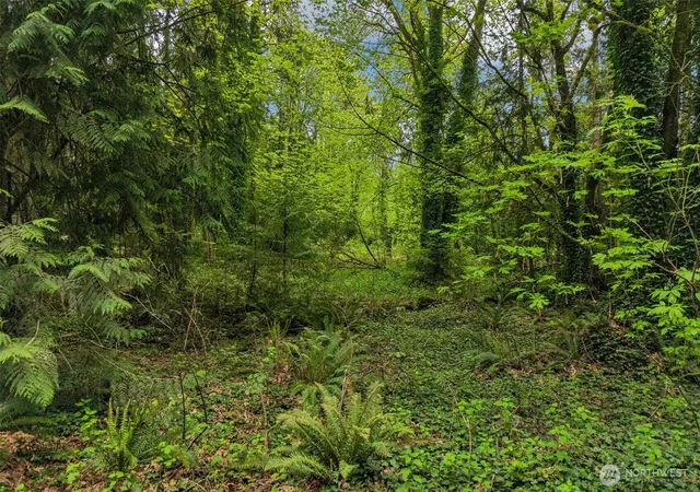 Photo 1 of Land for sale at 0 Xx Hvn Pl, Camano Island, WA 98282 | MLS# NWM2514721 | Listing updated on 2026-09-21