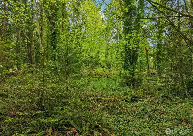 Photo 2 of Land for sale at 0 Xx Hvn Pl, Camano Island, WA 98282 | MLS# NWM2514721 | Listing updated on 2026-09-21