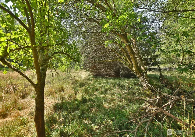 Photo 3 of Land for sale at 0 Xxx Farmer Ln, Freeland, WA 98249 | MLS# NWM2514729 | Listing updated on 2026-09-21
