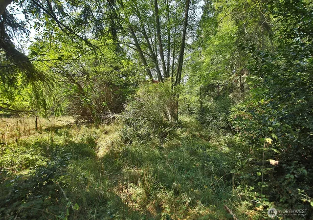 Photo 4 of Land for sale at 0 Xxx Farmer Ln, Freeland, WA 98249 | MLS# NWM2514729 | Listing updated on 2026-09-21