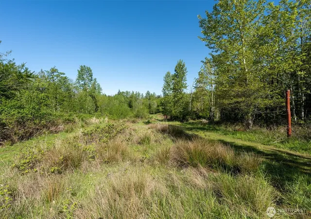 Photo 2 of Land for sale at 0 Nka Tybren Hts, Kelso, WA 98626 | MLS# NWM2514752 | Listing updated on 2026-09-21
