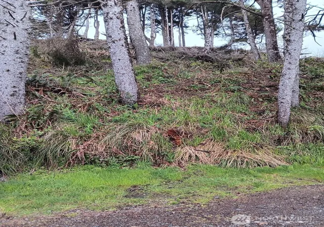 Photo 3 of Land for sale at 4726 Beach Ln, Moclips, WA 98562 | MLS# NWM2514919 | Listing updated on 2026-09-21
