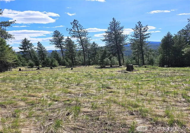 Photo 1 of Land for sale at 168 Prior Loop Rd, Oroville, WA 98844 | MLS# NWM2514973 | Listing updated on 2026-09-21