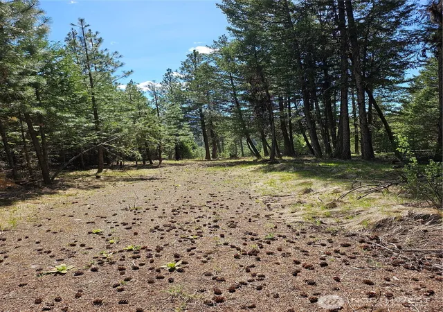 Photo 2 of Land for sale at 168 Prior Loop Rd, Oroville, WA 98844 | MLS# NWM2514973 | Listing updated on 2026-09-21