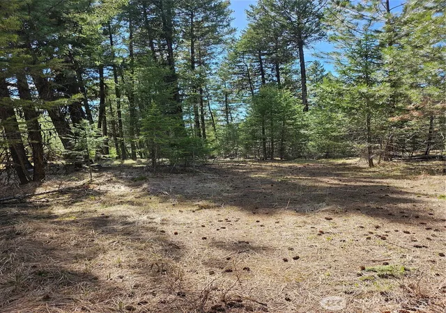 Photo 3 of Land for sale at 168 Prior Loop Rd, Oroville, WA 98844 | MLS# NWM2514973 | Listing updated on 2026-09-21