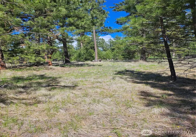 Photo 4 of Land for sale at 168 Prior Loop Rd, Oroville, WA 98844 | MLS# NWM2514973 | Listing updated on 2026-09-21