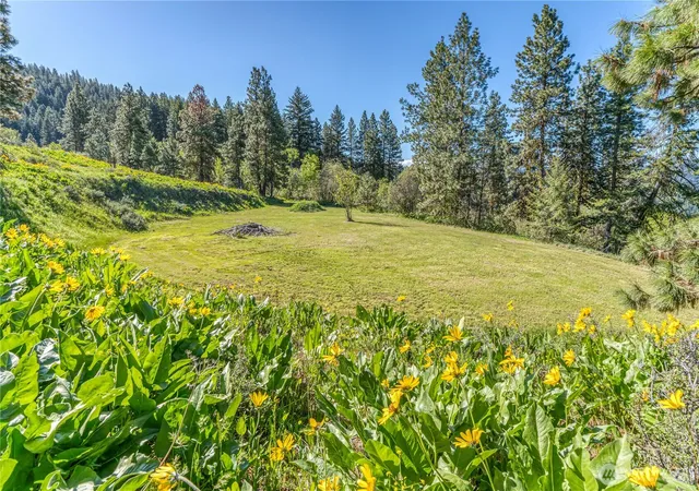 Land for sale at 0 Sky Meadows Rd, Cashmere, WA 98815 | MLS# NWM2515157