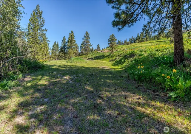 Photo 4 of Land for sale at 0 Sky Meadows Rd, Cashmere, WA 98815 | MLS# NWM2515157 | Listing updated on 2026-09-21
