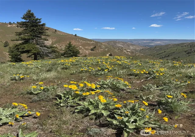 Photo 2 of Land for sale at 0 Uphill Ln, Wenatchee, WA 98801 | MLS# NWM2515246 | Listing updated on 2026-09-21