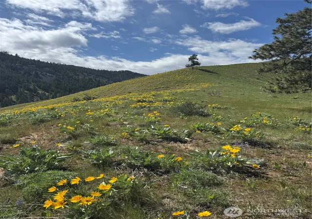 Photo 3 of Land for sale at 0 Uphill Ln, Wenatchee, WA 98801 | MLS# NWM2515246 | Listing updated on 2026-09-21