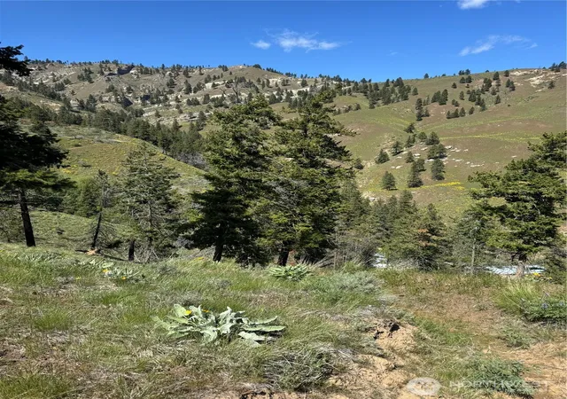 Photo 3 of Land for sale at 0 Uphill Ln, Wenatchee, WA 98801 | MLS# NWM2515246 | Listing updated on 2026-09-21