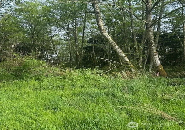 Photo 3 of Land for sale at 12 Ander Park Rd, Freeland, WA 98249 | MLS# NWM2515381 | Listing updated on 2026-09-21
